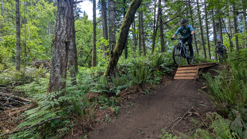 Thurston Hills Closing to MTBing this weekend's Image