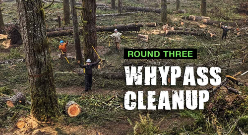 Whypass Cleanup: Round Three's Image