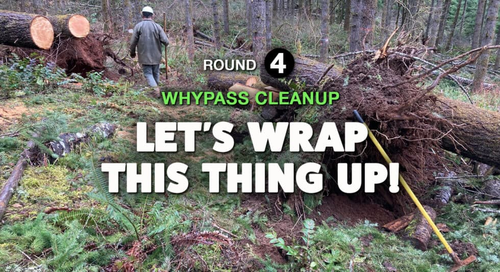 Whypass Cleanup: Round Four's Image